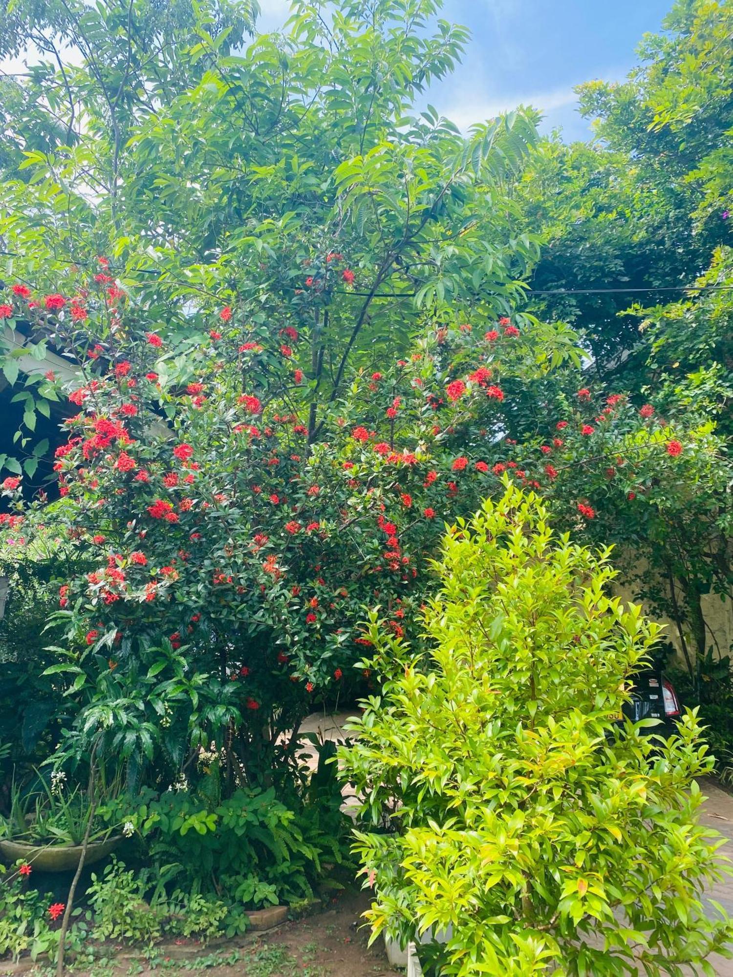 Waasala Leisure Hotel Anuradhapura Luaran gambar