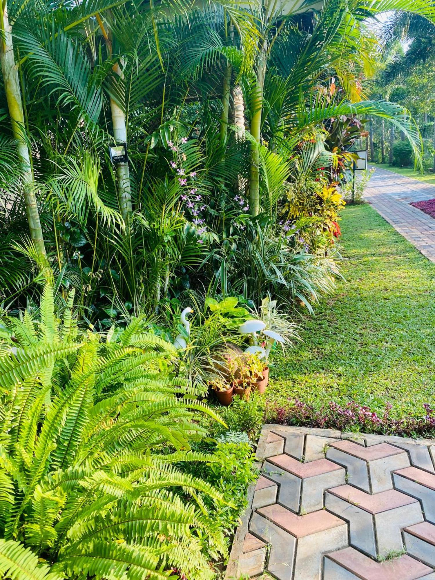 Waasala Leisure Hotel Anuradhapura Luaran gambar