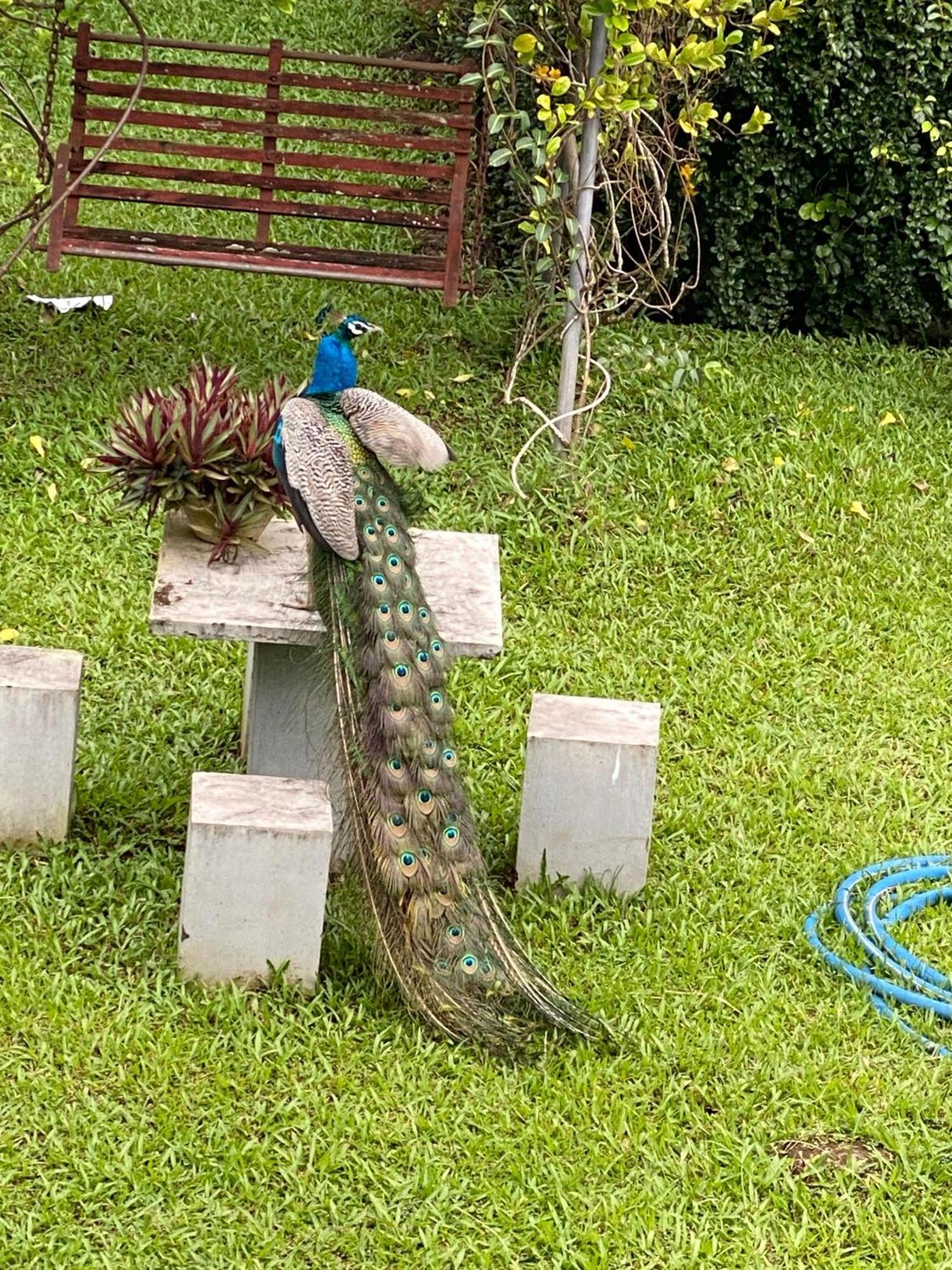 Waasala Leisure Hotel Anuradhapura Luaran gambar