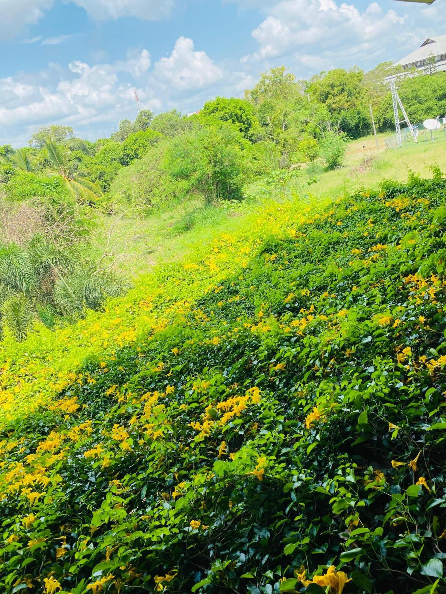 Waasala Leisure Hotel Anuradhapura Luaran gambar