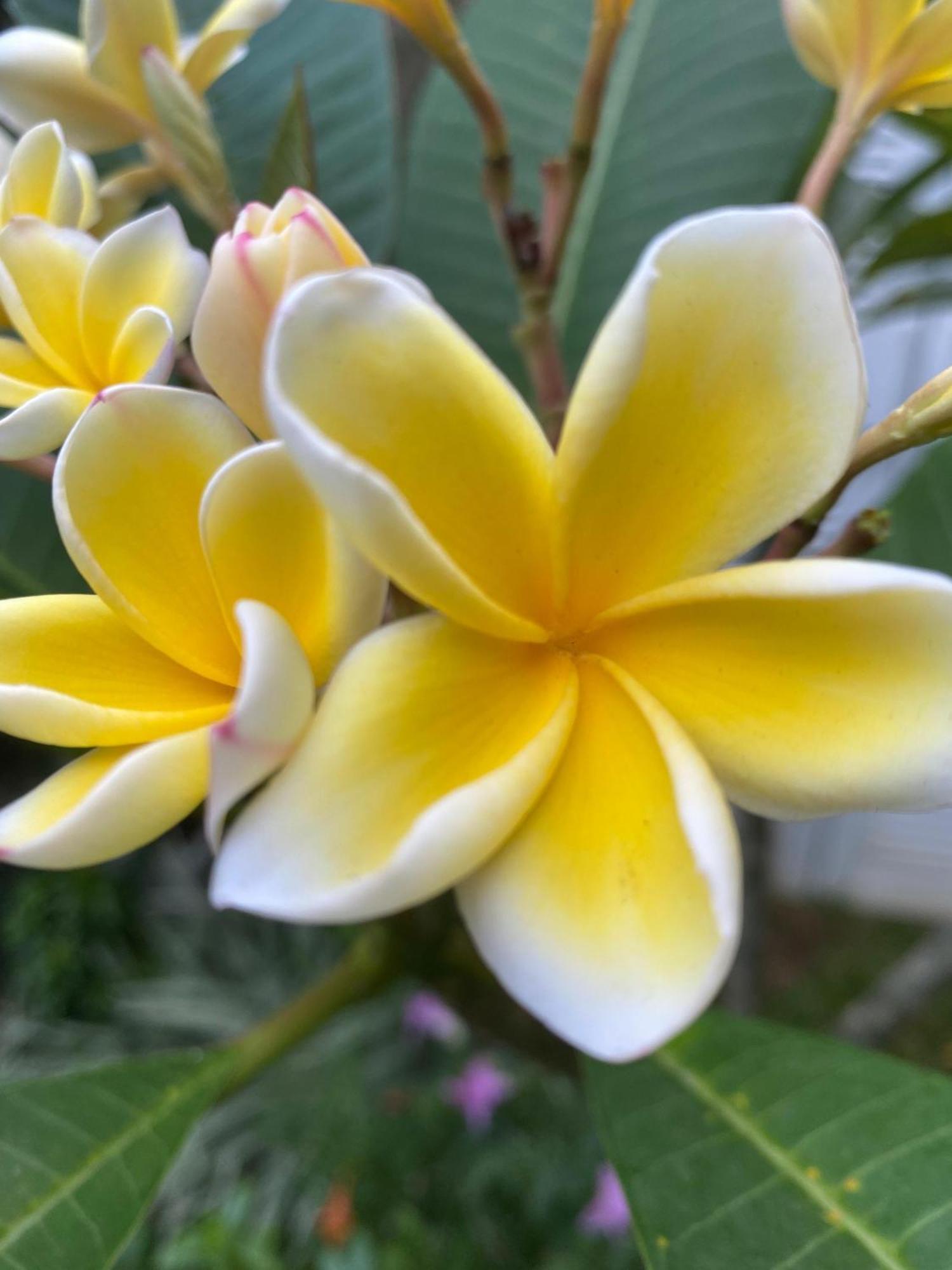 Waasala Leisure Hotel Anuradhapura Luaran gambar